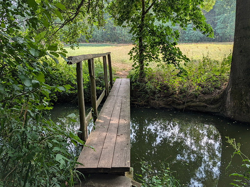 Schmale Brücke über ein Bächlein